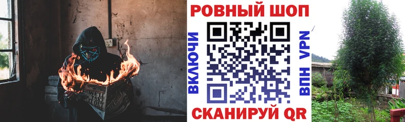 Купить наркоту Щёлково Гашиш A-PVP KRAKEN сайт Псилоцибиновые грибы Марихуана Меф мяу мяу Кокаин