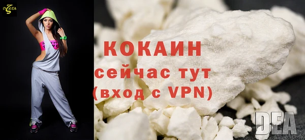 прущие грибы Абаза