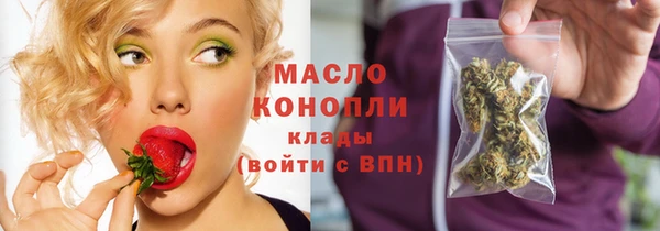гашик Пересвет