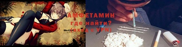 прущие грибы Абинск