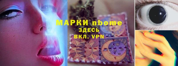 прущие грибы Абинск