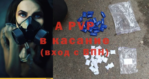 прущие грибы Абаза