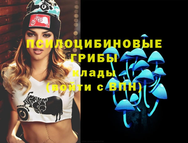 прущие грибы Абинск