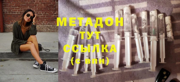 прущие грибы Абаза