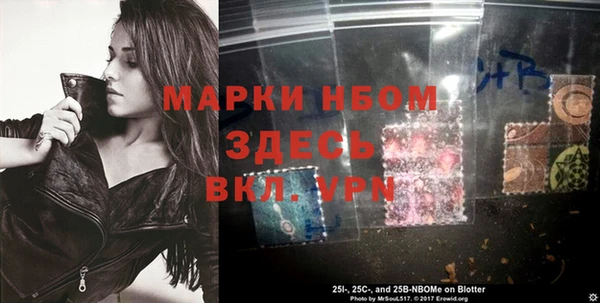 прущие грибы Абаза