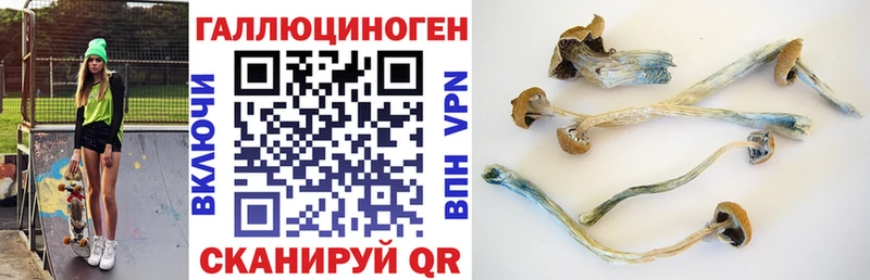 Псилоцибиновые грибы MAGIC MUSHROOMS  Щёлково 